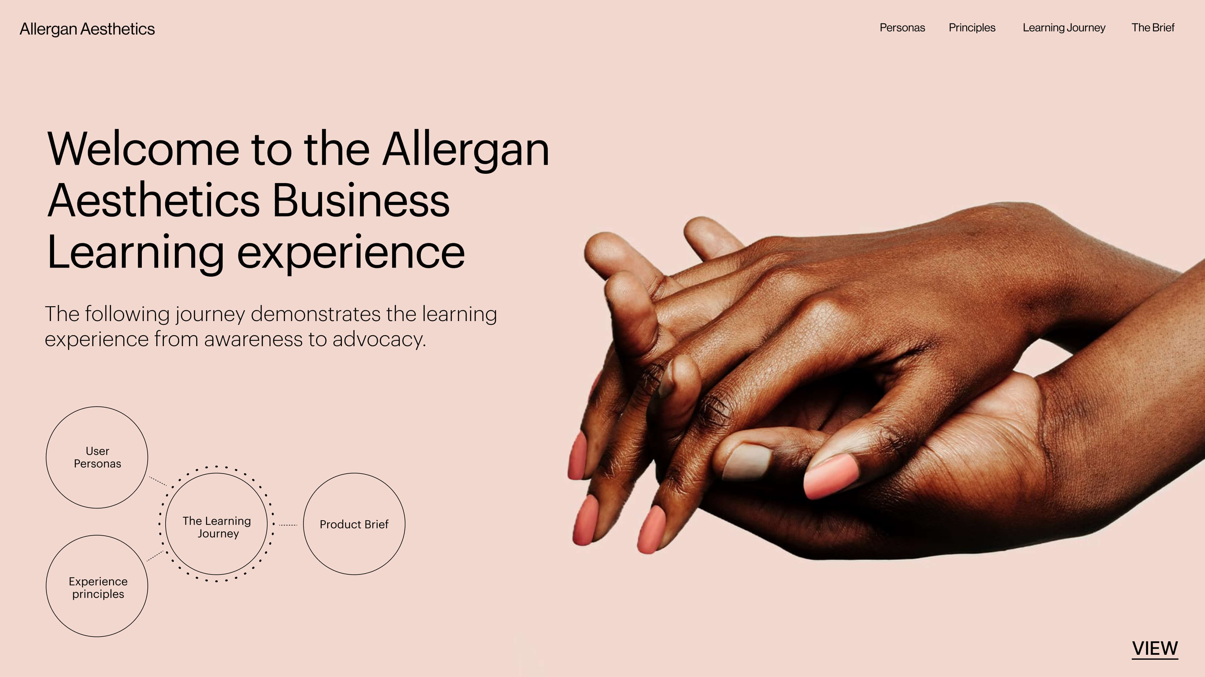Allergan Aesthetics — Overview